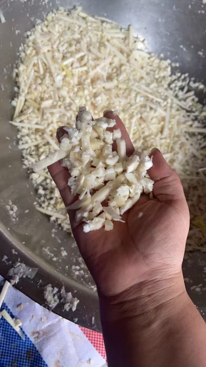 竹笋去壳笋尖