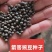 豌豆50公斤/25公斤包装，筛选净货