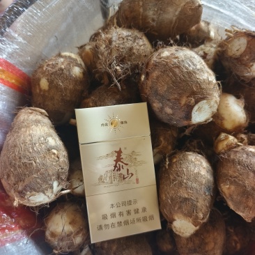 毛芋头大果/中果/小果