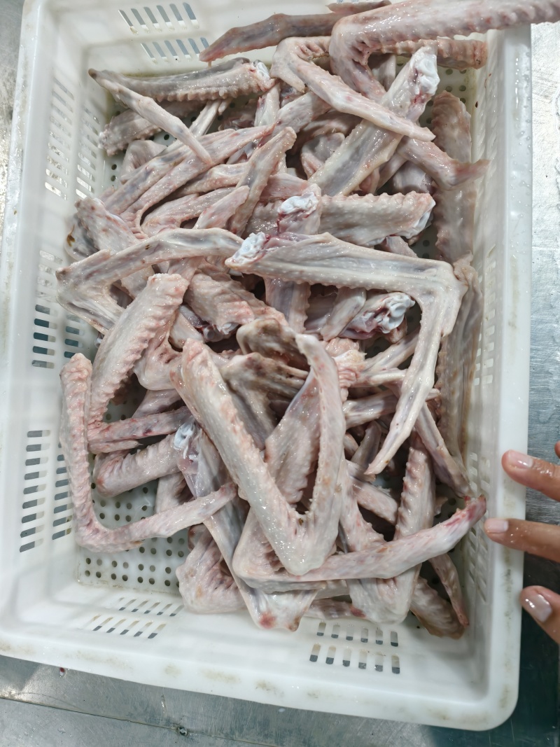 鹅翅大鹅翅/小鹅翅两种规格