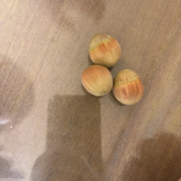 榛子混青皮