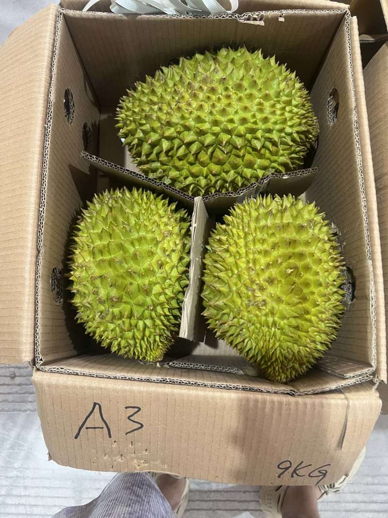 金枕头榴莲A/B/C/D等级