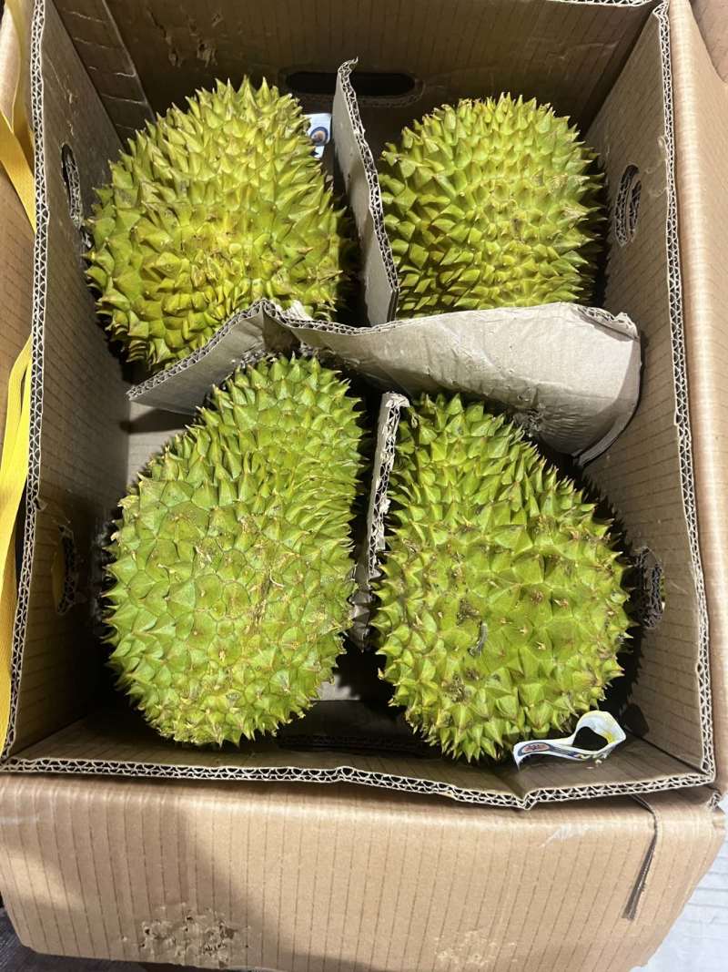 金枕头榴莲A/B/C/D等级