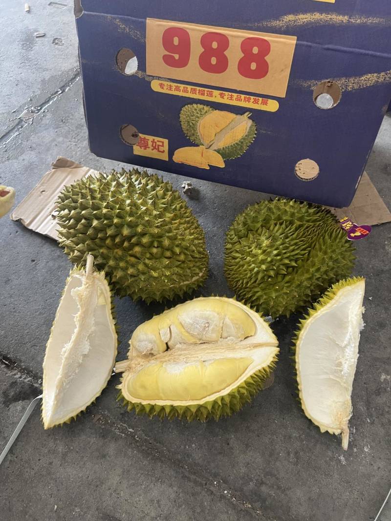 金枕头榴莲A/B/C/D等级