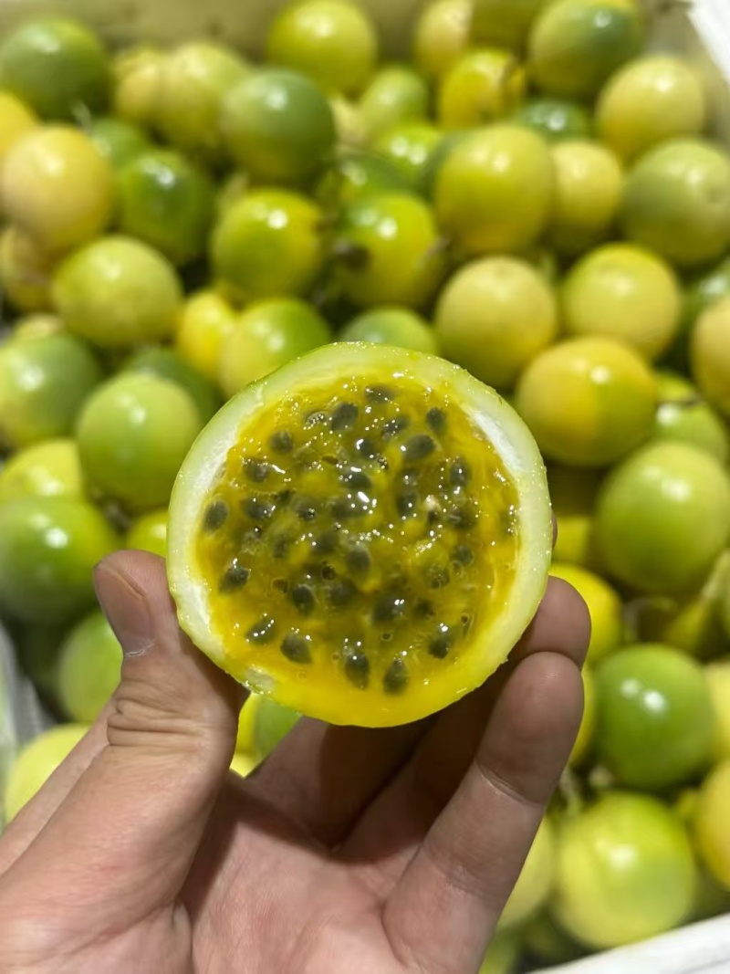 百香果