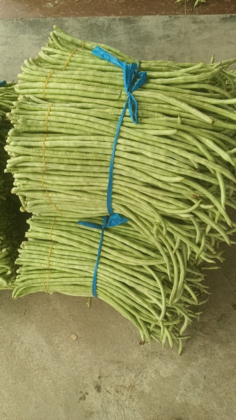 豆角肉豆角