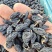 葡萄干黑加仑葡萄干,绿香妃葡萄干,红葡萄干