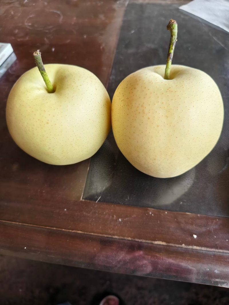 皇冠梨