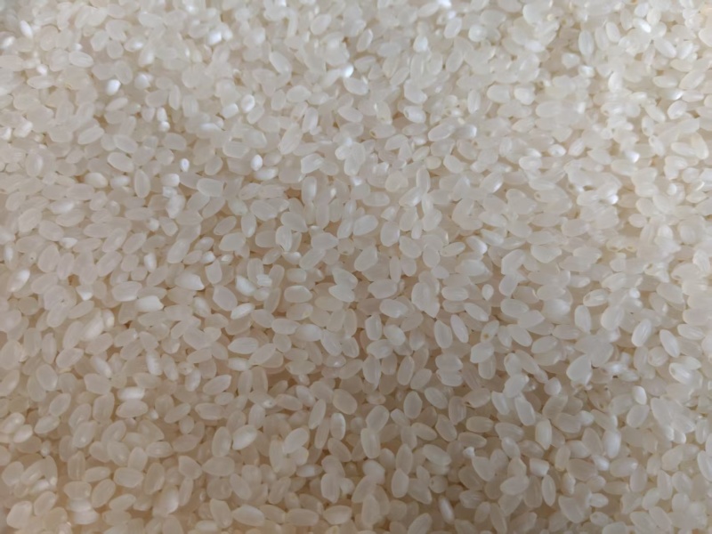 大米一级