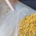 金银花一叶迷/黄金花统货;青色花籽和开花统货20~26