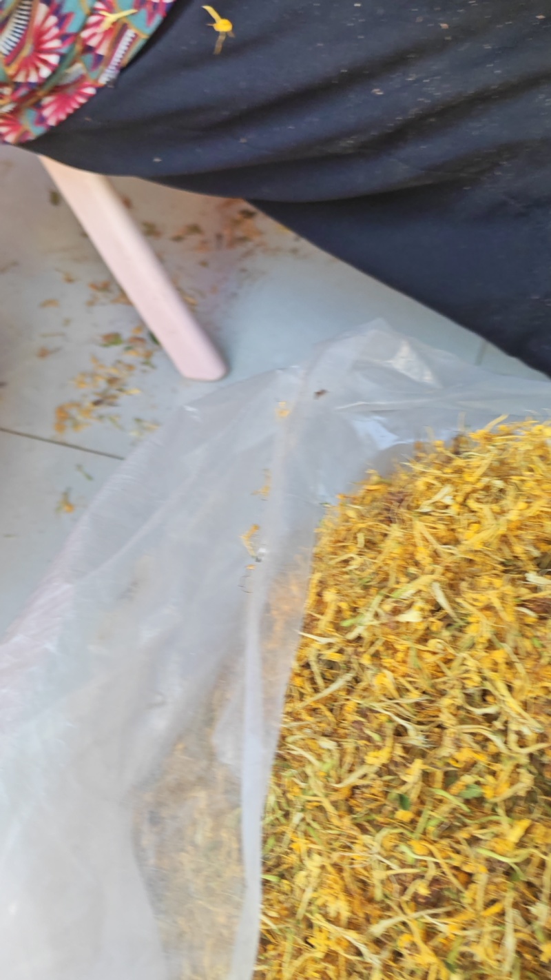 金银花一叶迷/黄金花统货;青色花籽和开花统货20~26