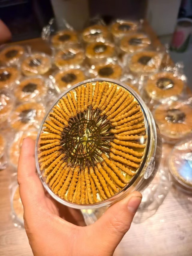 西藏那曲高海拔冬虫夏草，价格便宜，品质优良，开箱验货。