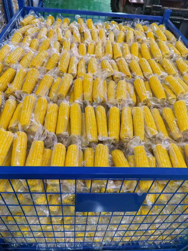 水果玉米真空包装鲜食玉米