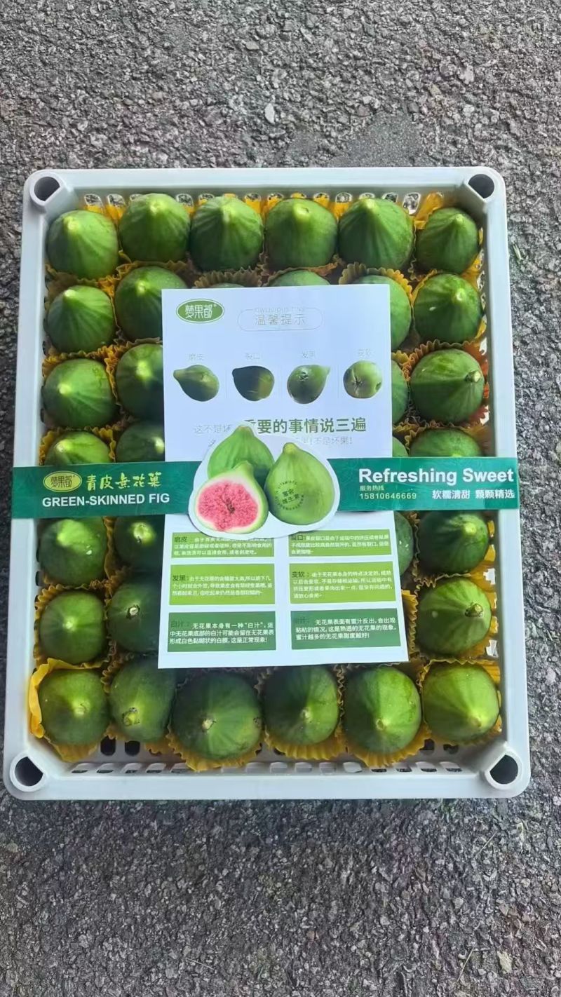无花果威海青皮无花果（精品果）
