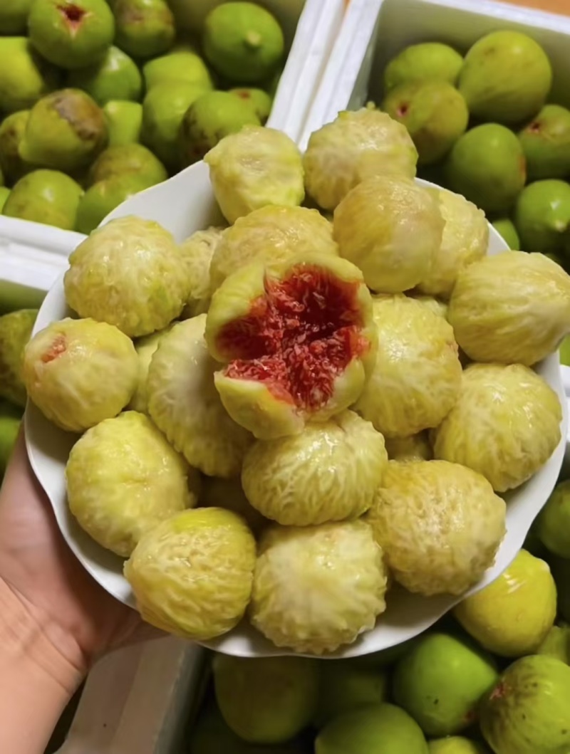 无花果威海青皮无花果（精品果）
