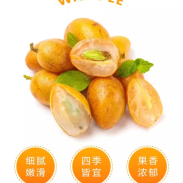 黄皮果真空包装