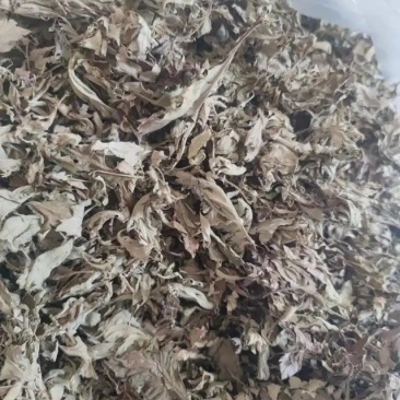 艾叶手工精选