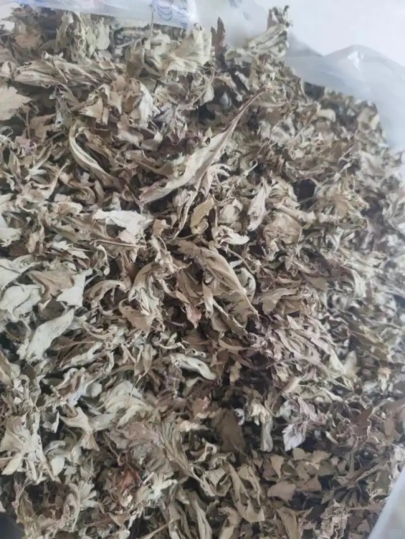 艾叶手工精选