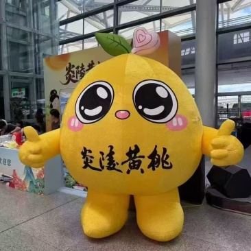 炎陵黄桃十斤装