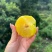 李子10斤装
