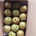 黄花梨4两起步