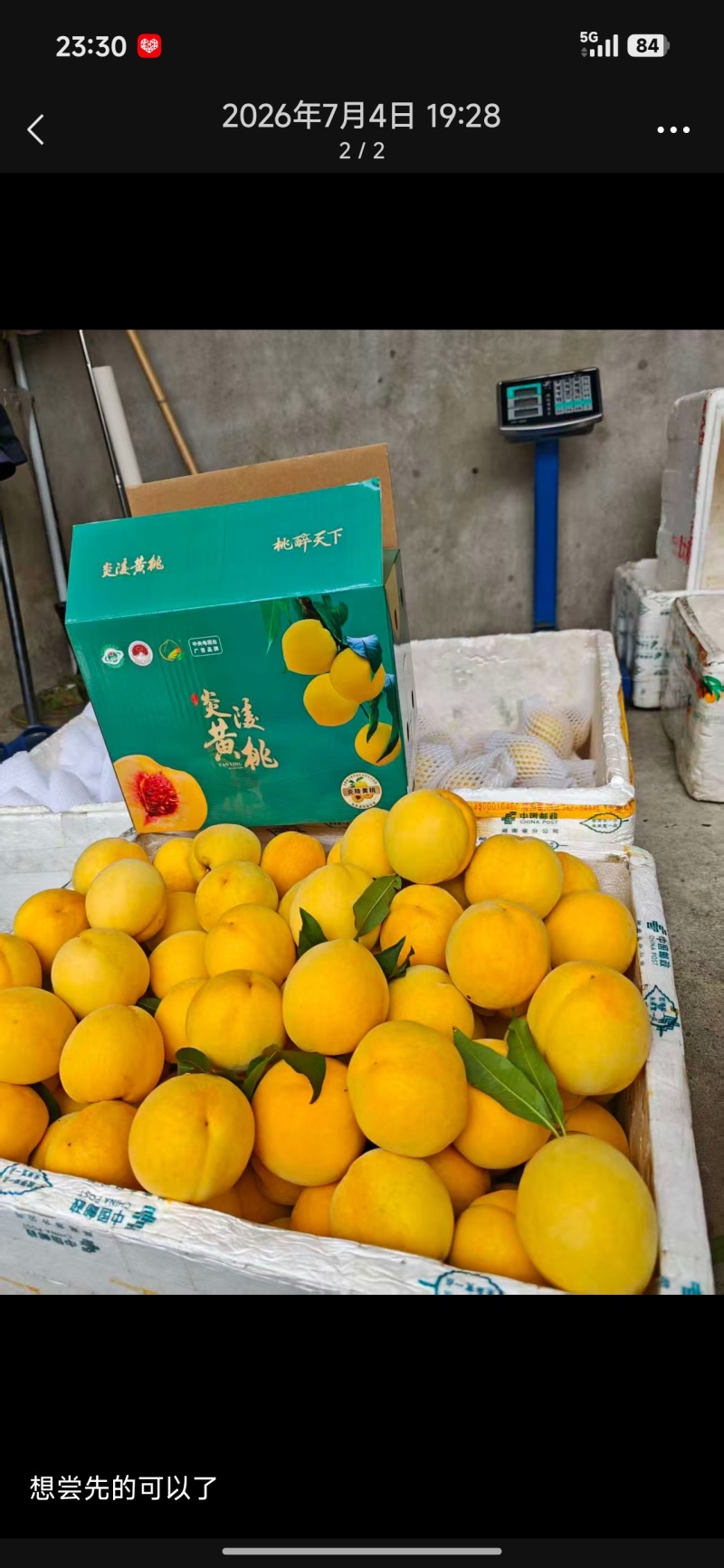炎陵黄桃礼盒包装，5斤装和10斤装，含包装和运费顺丰快递