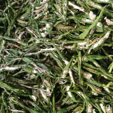 干辣椒整箱发货（一箱20斤）/袋装