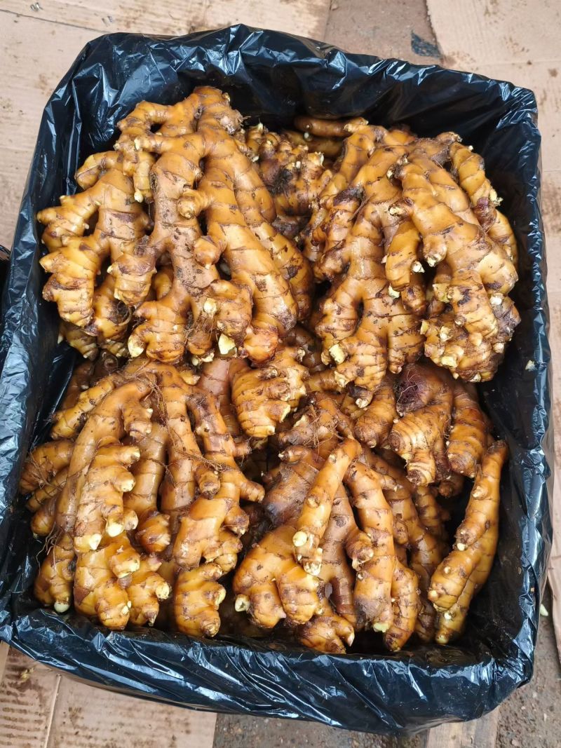 生姜