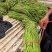 豆角