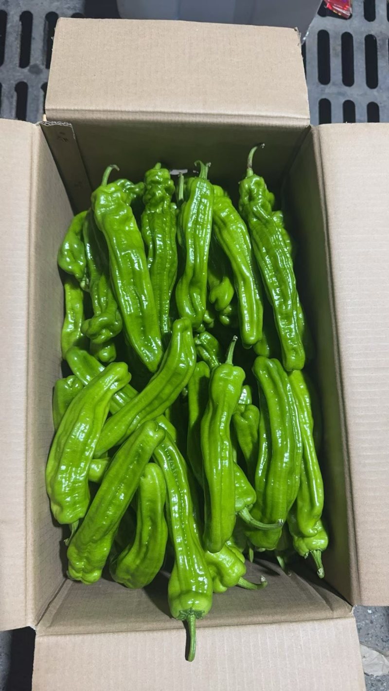 鲜辣椒烟箱、手提袋