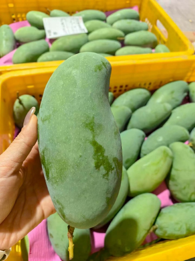 芒果不分级，统货
