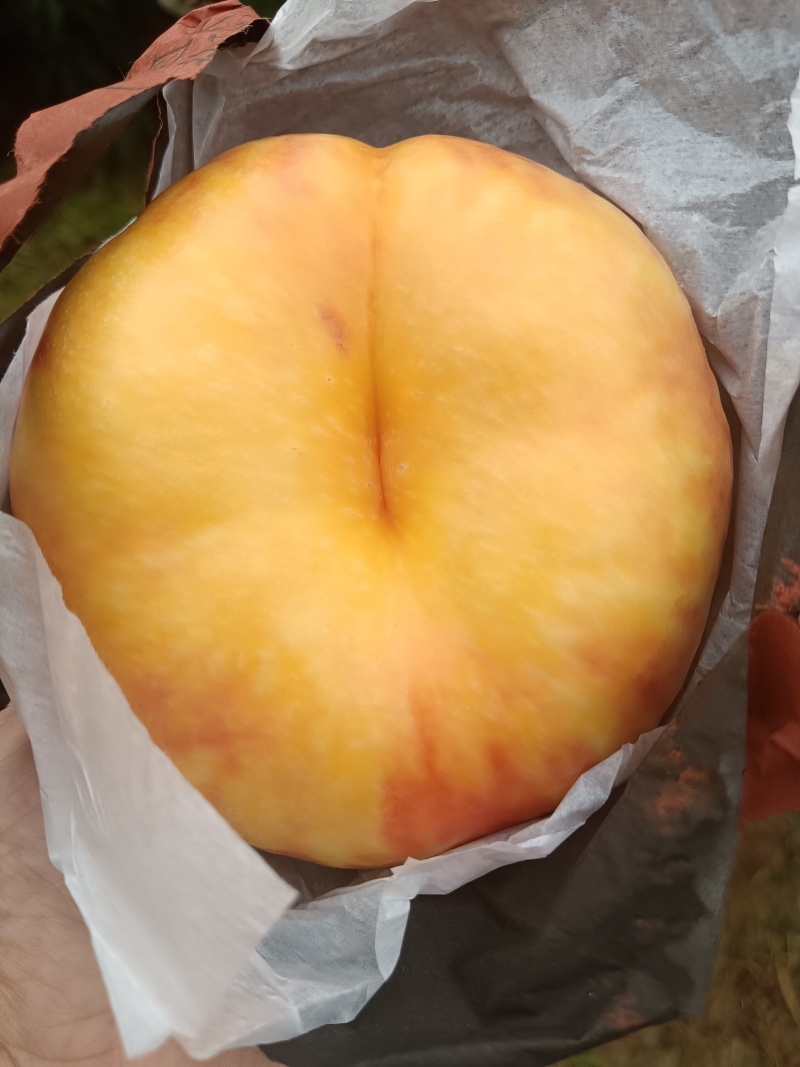 蟠桃精品货