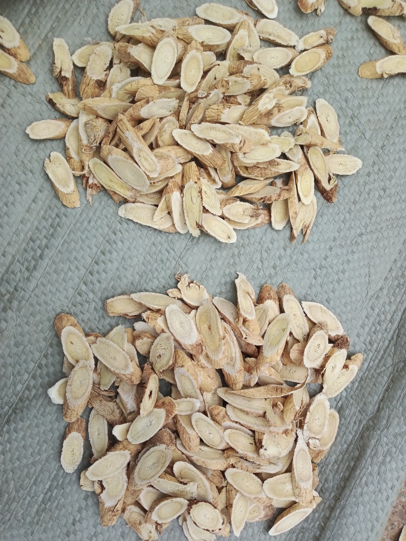 生黄芪0.8-1.0直径