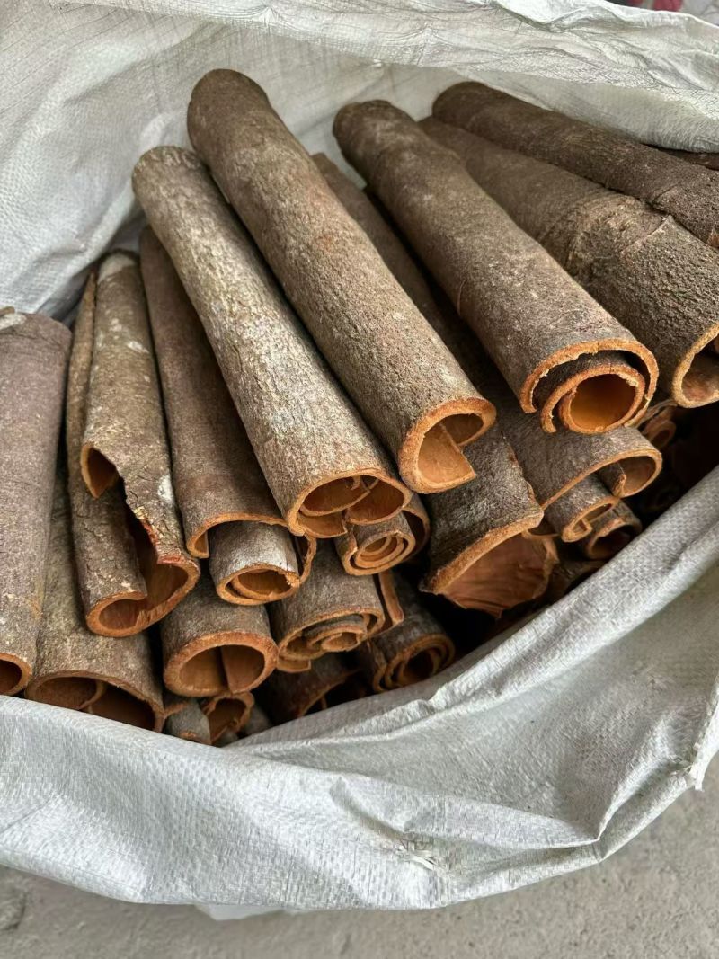 桂皮刮皮通/中通