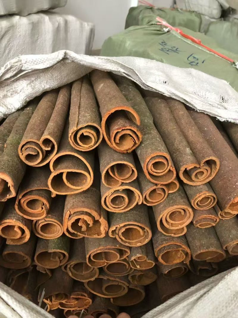 桂皮刮皮通/中通