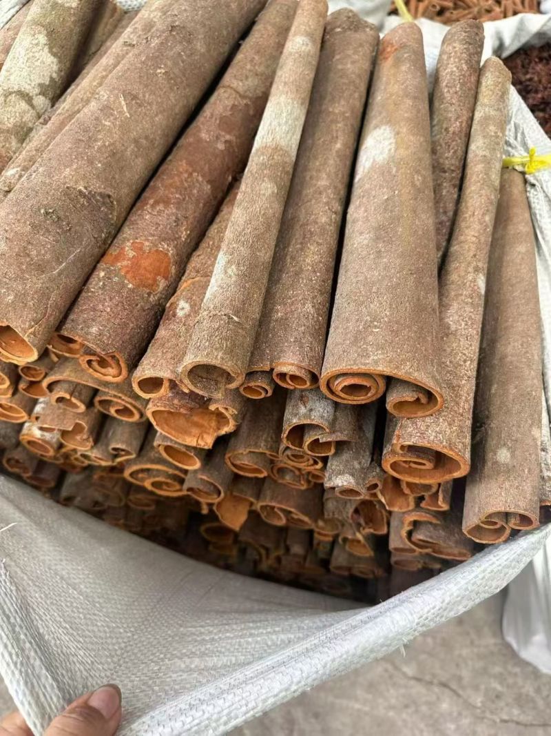 桂皮刮皮通/中通