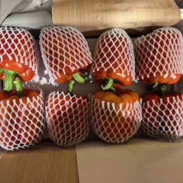 甜椒