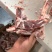 牛脊骨满肉牛脊骨