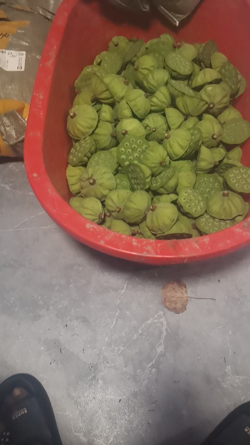 莲蓬普货