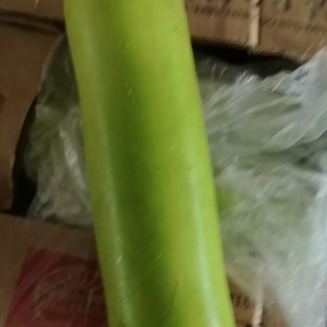 瓠瓜