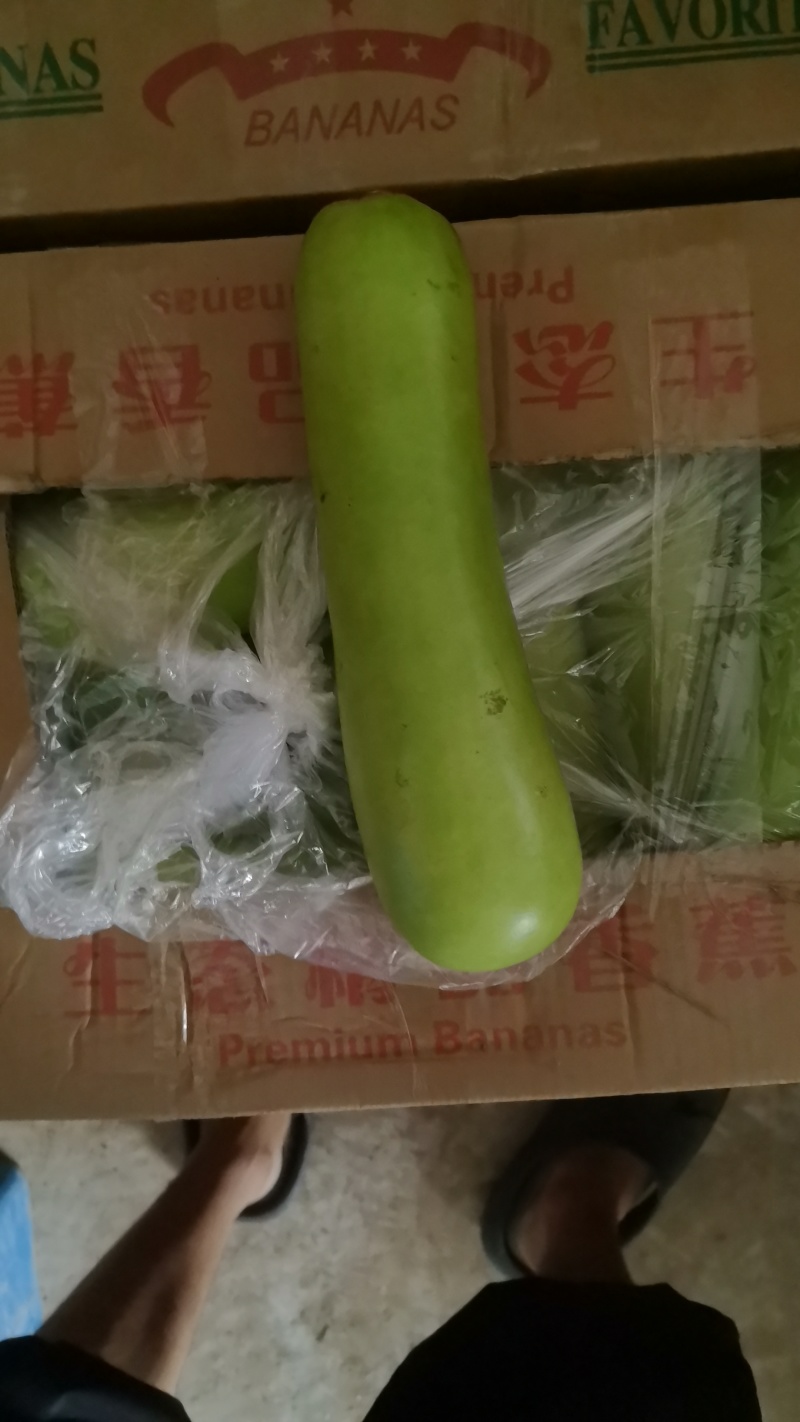 瓠瓜