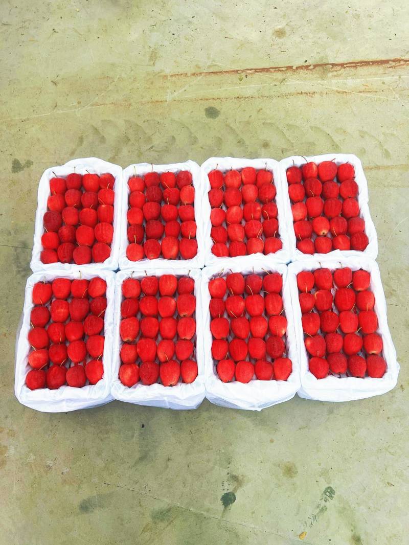 辽宁海棠果鸡心果西丰主产区口感脆甜量大从优