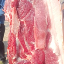 土猪肉整头拿货