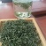 云雾茶散装