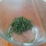 云雾茶散装