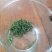 云雾茶散装