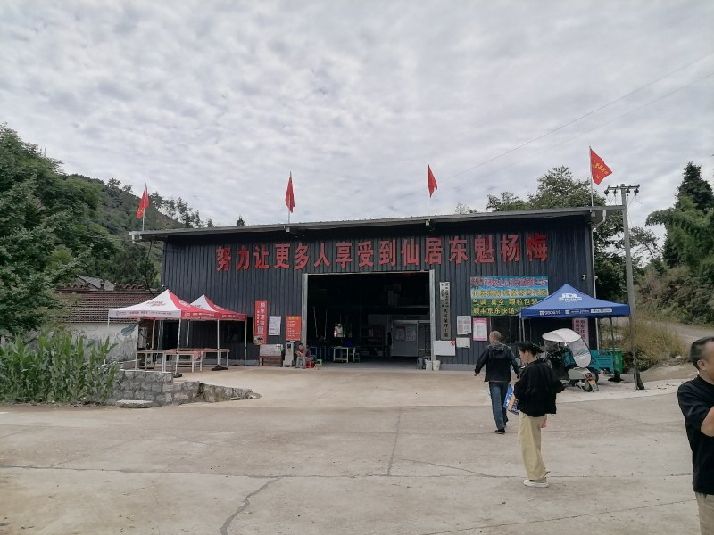 仙居杨梅东魁15-40g，荸荠种8-15g