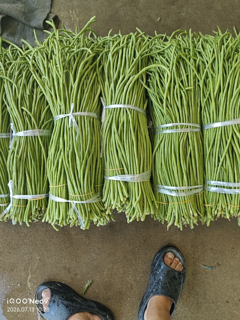 豆角