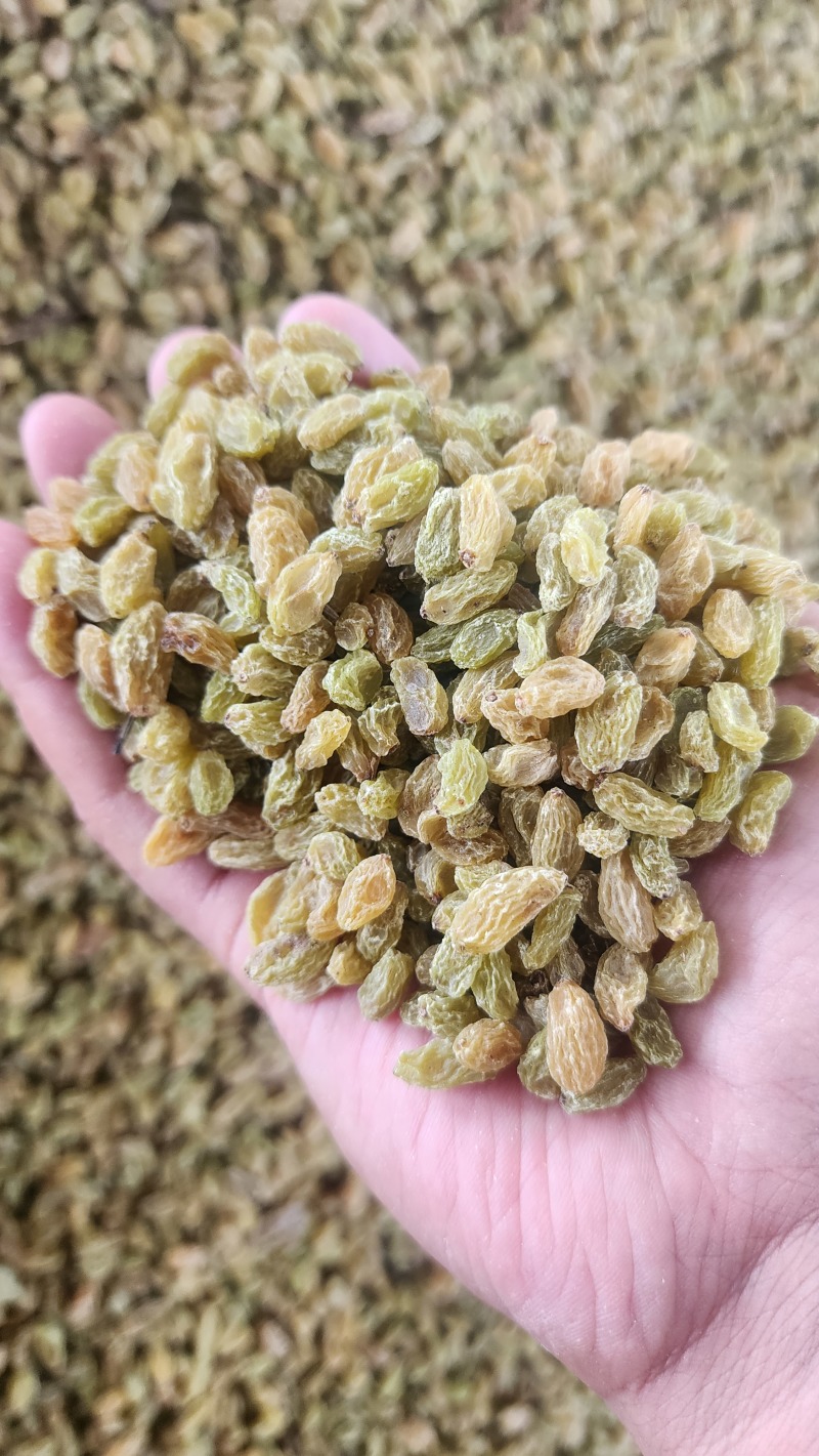 葡萄干阳光玫瑰红葡萄干