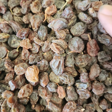 果蔬汁大颗粒、中颗粒，果子肉饱满，汁多，适合做葡萄干果汁